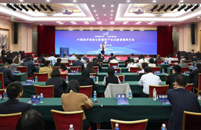 DeepSeek�x��ؔ�Մ�(chu��ng)���c���`���}��ӑ��Ӗ